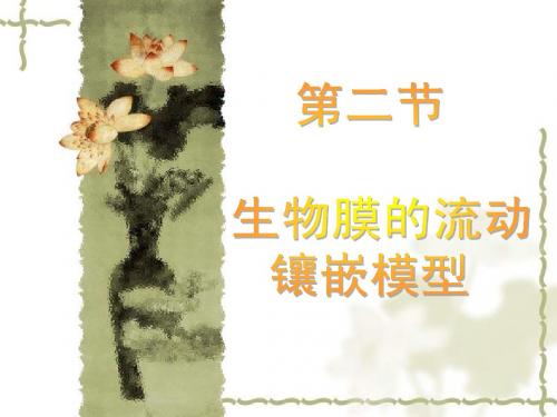 2010届高三生物精品课件：第四章  第二节 生物膜的流动镶嵌模型