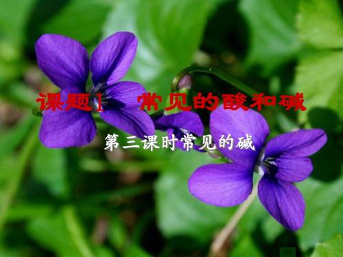第三课时常见的碱