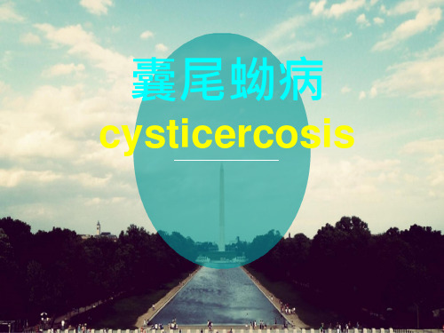 囊尾蚴病ppt课件