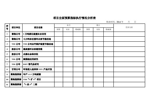 项目全面预算指标执行情况分析表