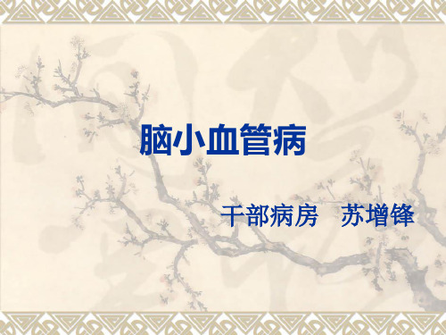 脑小血管病资料