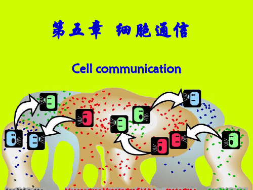 细胞生物学  细胞通讯