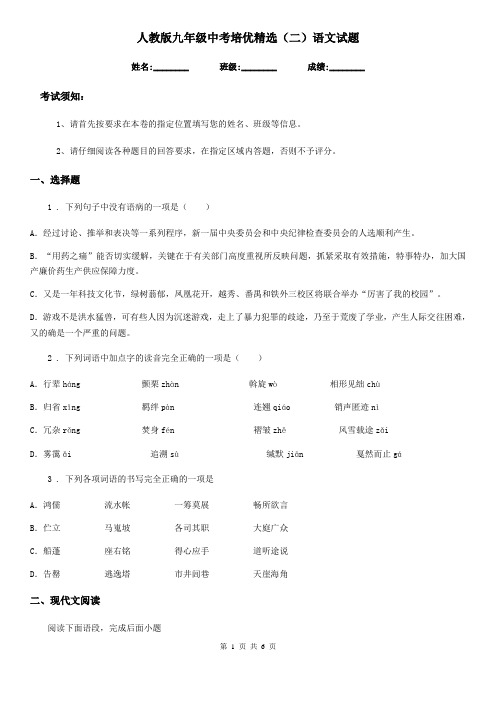 人教版九年级中考培优精选(二)语文试题