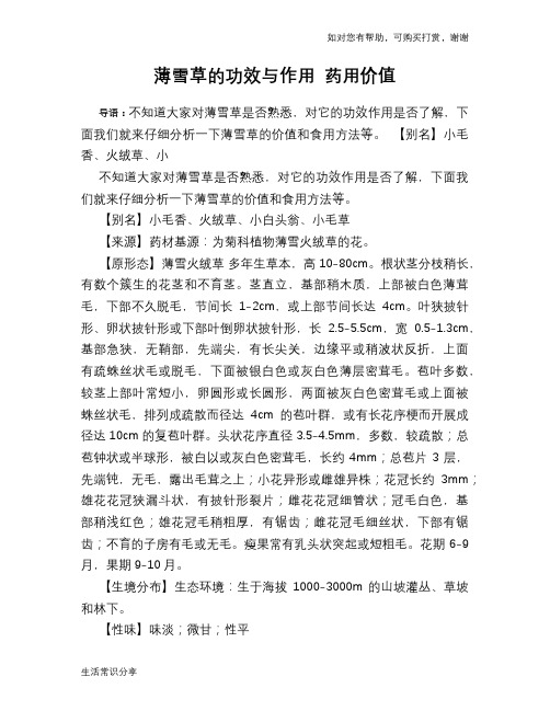 薄雪草的功效与作用 药用价值