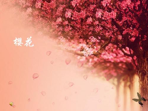 樱花