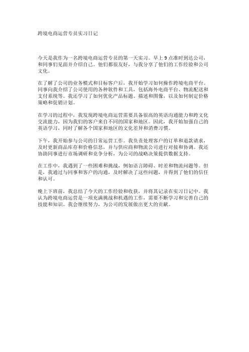 跨境电商运营专员实习日记