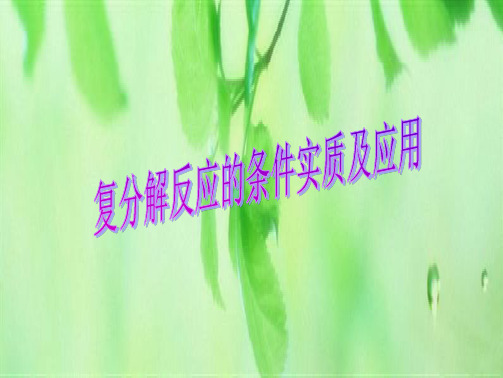 中考复习九年级化学复分解反应的条件实质及应用(人教版)