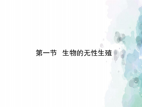 苏教版-生物-八年级下册-《生物的无性生殖》探究型课件