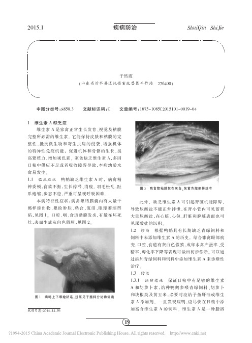 水禽常见维生素缺乏症及其防治_于然霞