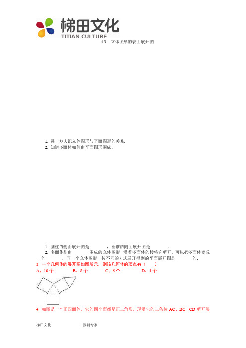 【课时训练2】4.3立体图形的表面展开图