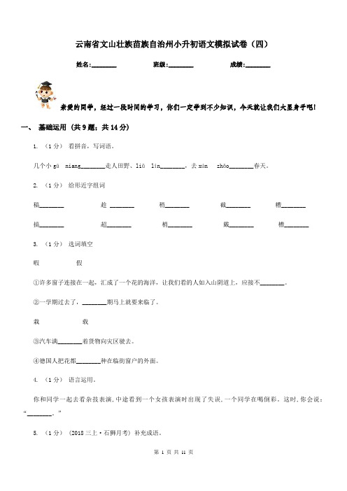 云南省文山壮族苗族自治州小升初语文模拟试卷(四)