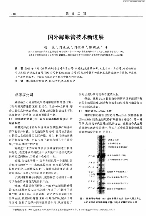 国外膨胀管技术新进展