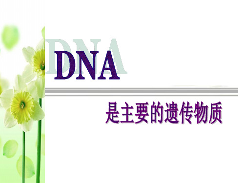 高三一轮复习-DNA是主要的遗传物质-(共34张)精品PPT课件