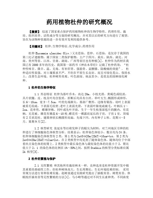 药用植物杜仲的研究概况