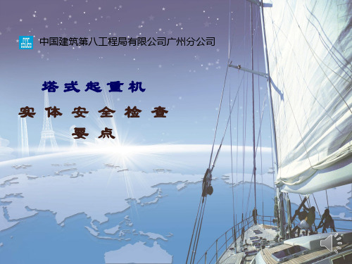 塔式起重机实体安全检查要点PPT(51张)