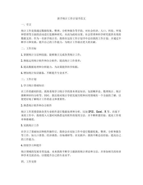 新手统计工作计划书范文