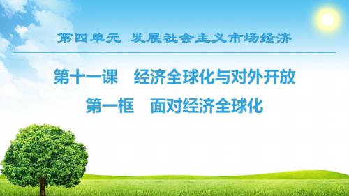 2018-2019学年人教版高中政治必修一课件： 第4单元 第11课 第1框 面对经济全球化 (共44张PPT)