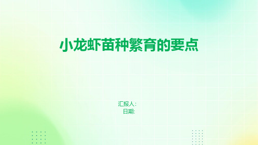 小龙虾苗种繁育的要点