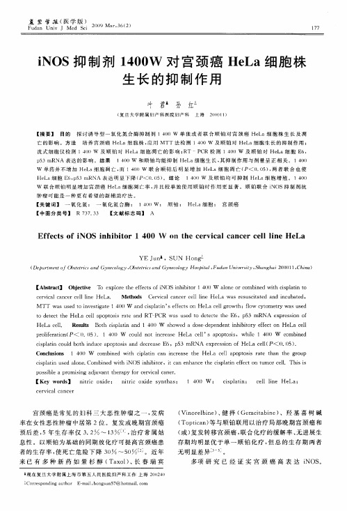 iNOS抑制剂1400W对宫颈癌HeLa细胞株生长的抑制作用