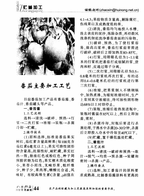 番茄主要加工工艺