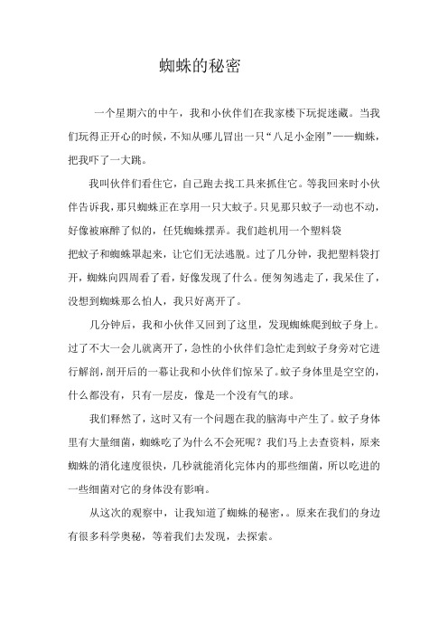 蜘蛛的秘密