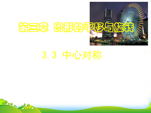 北师大版数学八年级下册第三章《 3.3 中心对称 》公开课课件(23张)