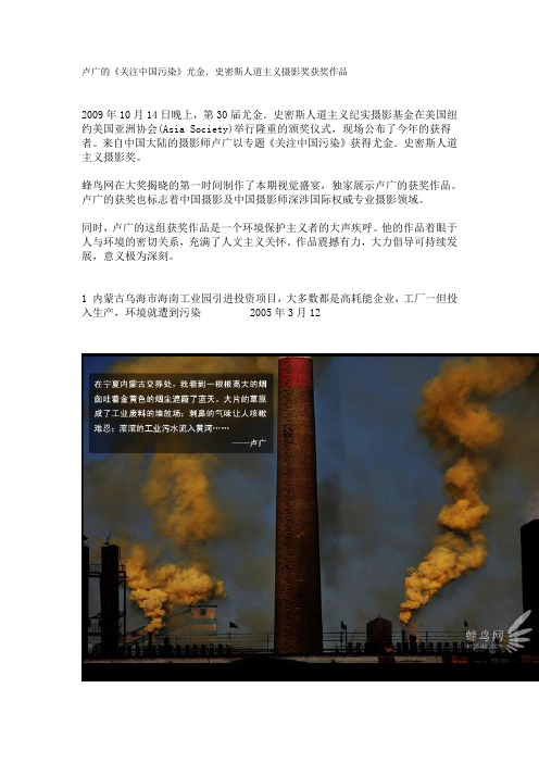 卢广的《关注中国污染》