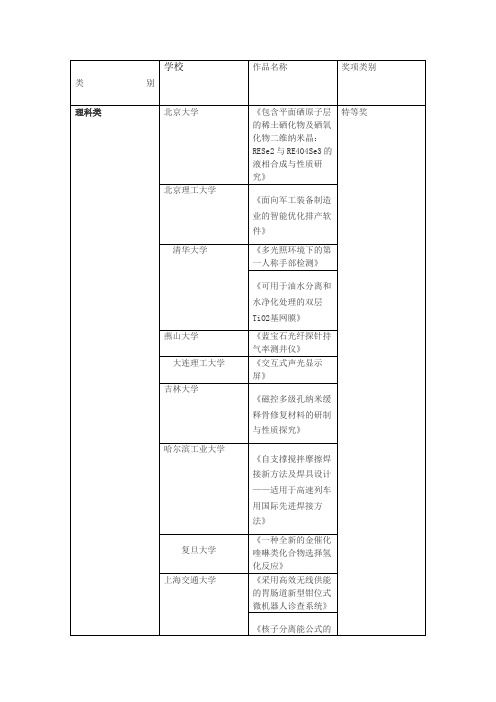 全国第十三届挑战杯获奖名单