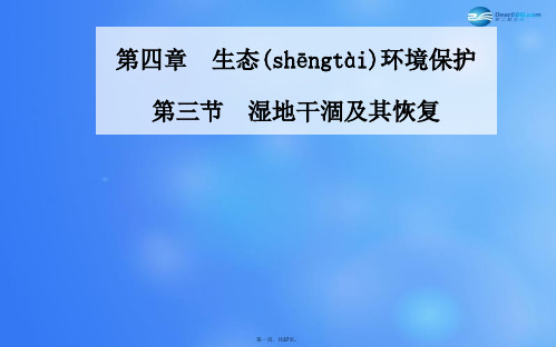 高中地理 第四章 第三节 湿地干涸及其恢复课件 新人教版选修6
