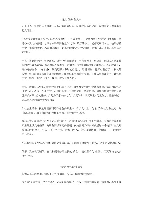 清点“流水账”作文500字