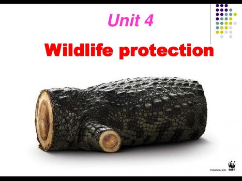 unit 4 wildlife protection