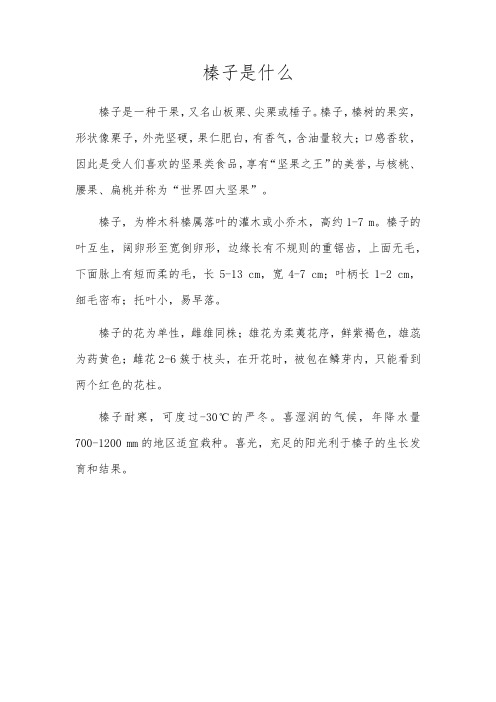 榛子是什么