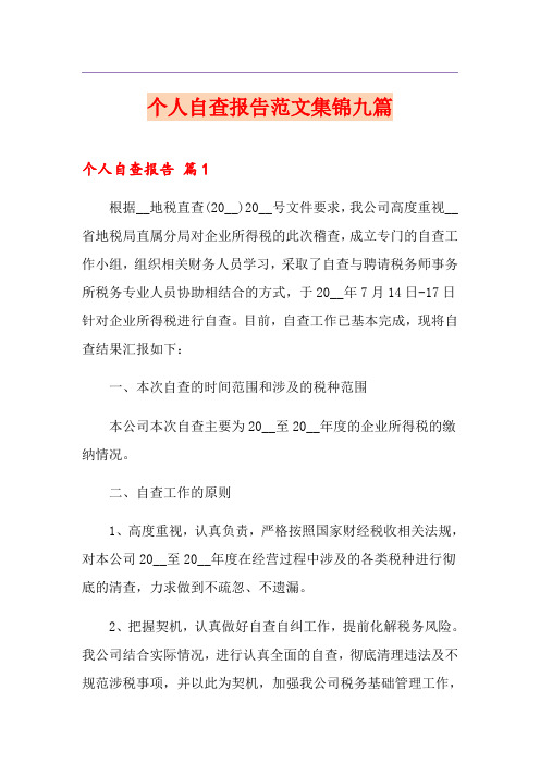 个人自查报告范文集锦九篇
