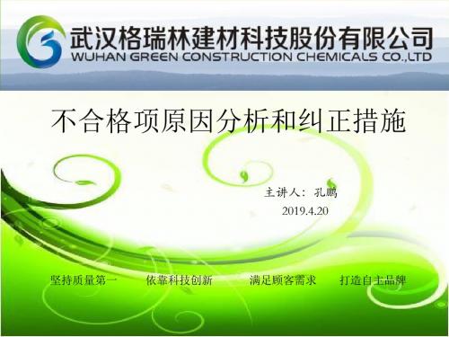 不合格项原因分析和纠正措施-PPT精品文档22页