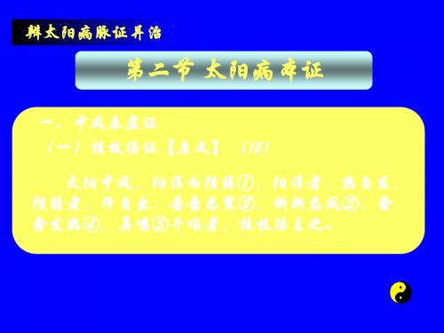 太阳病本证课件 137页PPT文档