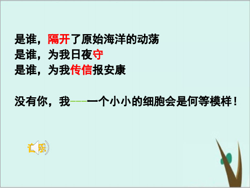 《细胞膜──系统的边界 》人教版ppt课件完美版1