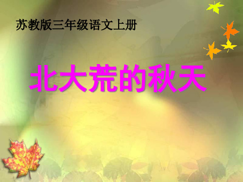 62北大荒的秋天PPT课件