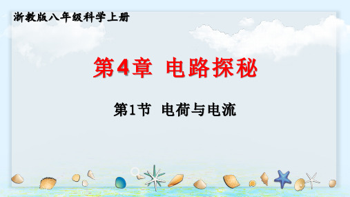 浙教版八年级科学上册4.1 电荷与电流(教学课件)