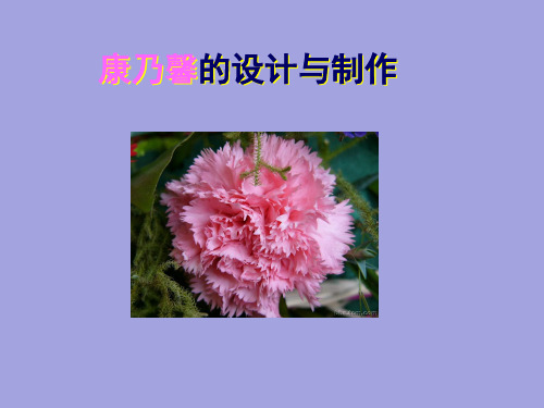 六年级下册综合实践活动课件-康乃馨的设计与制作 全国通用   11张