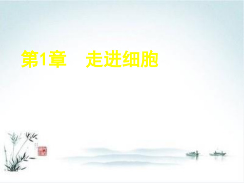 人教版高中生物必修一 1.1 从生物圈到细胞(20张PPT)