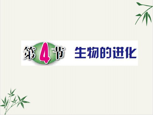 九年级下科学_生物的进化_上课课件ppt浙教版