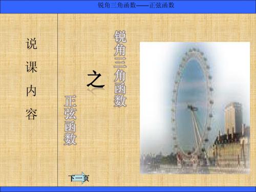 锐角三角函数——正弦函数说课