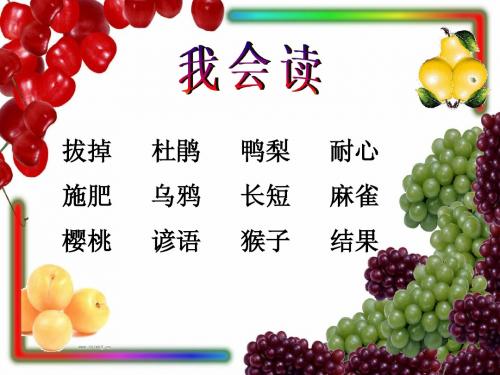 12 猴子种树(公开课)