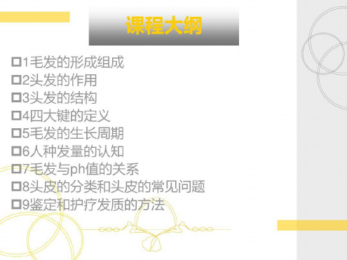 经典毛发生理学和基本-知识