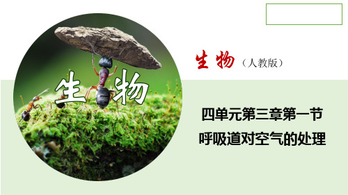 4.3.2 发生在肺内的气体交换(课件)七年级生物下册同步精品系列(人教版)(共47张PPT)