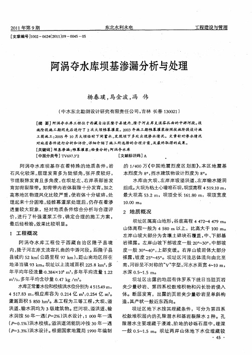 阿涡夺水库坝基渗漏分析与处理