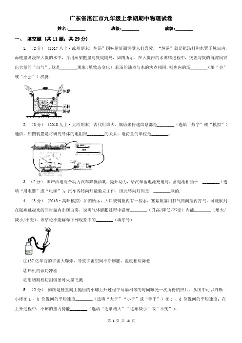 广东省湛江市九年级上学期期中物理试卷