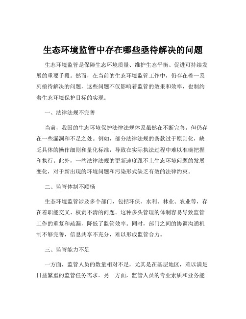 生态环境监管中存在哪些亟待解决的问题