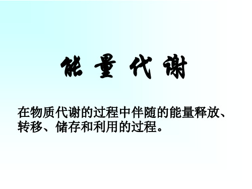 能量代谢ppt课件