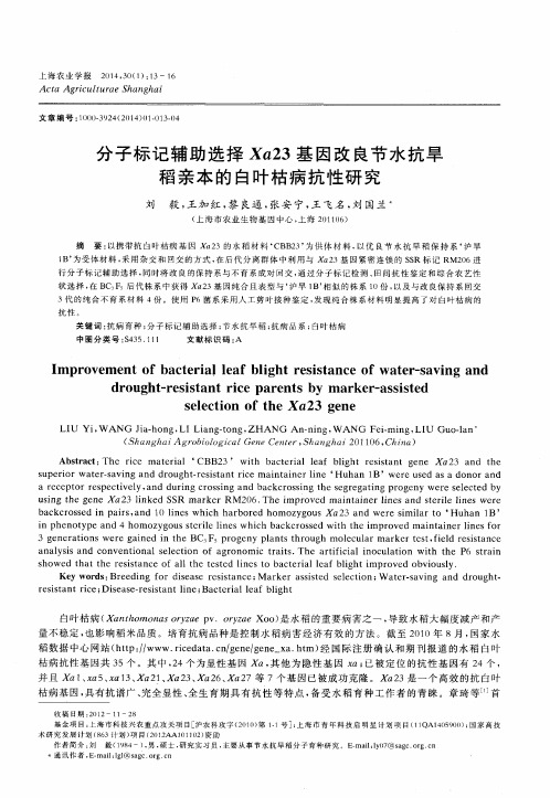 分子标记辅助选择Xa23基因改良节水抗旱稻亲本的白叶枯病抗性研究